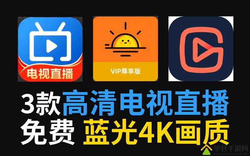 适合半夜看的直播软件：深夜陪伴的精彩之选