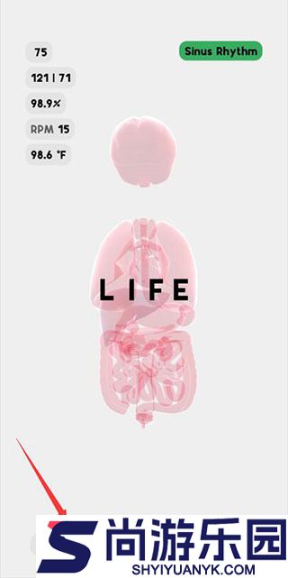 生命life下载