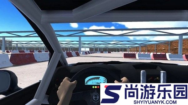 拉力赛车越野中文版下载