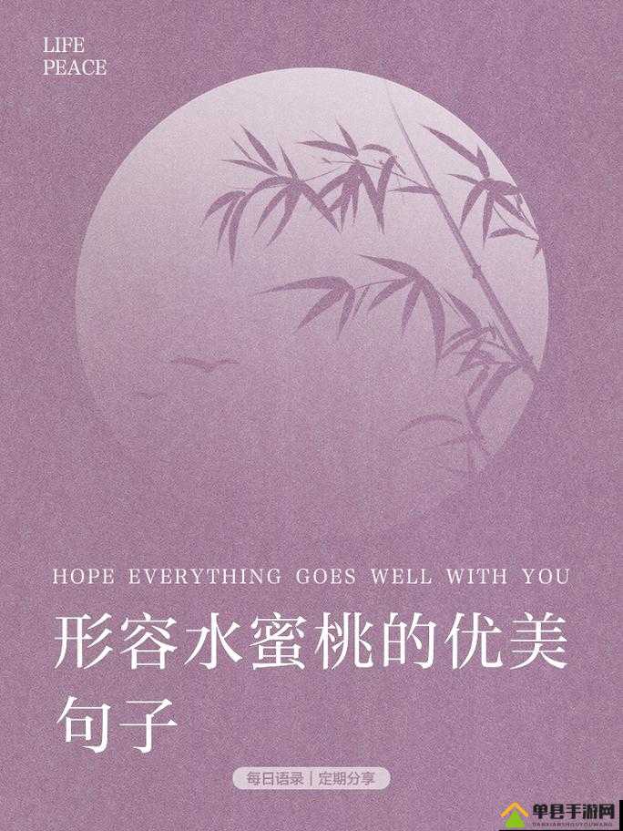 粉色水蜜桃之甜蜜滋味与美好寓意的详细解读