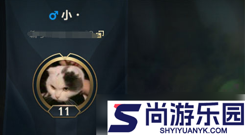 lol手游名字一个字怎么弄