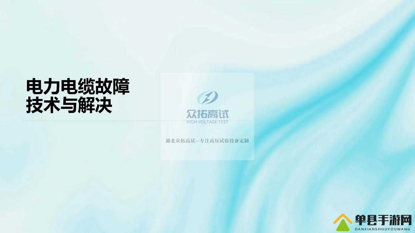 鲁大师WWW好看瘫痪：探寻其背后的技术故障与解决之道