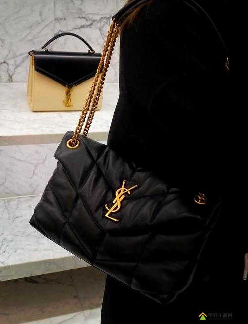 探索 YSL 千人千色 t9t9t90 网页版内容变调：深度剖析其独特魅力