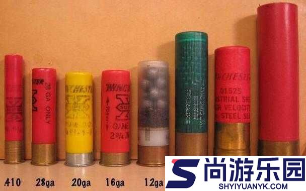 绝地求生游戏中霰弹枪子弹袋的作用与效果全面介绍图鉴