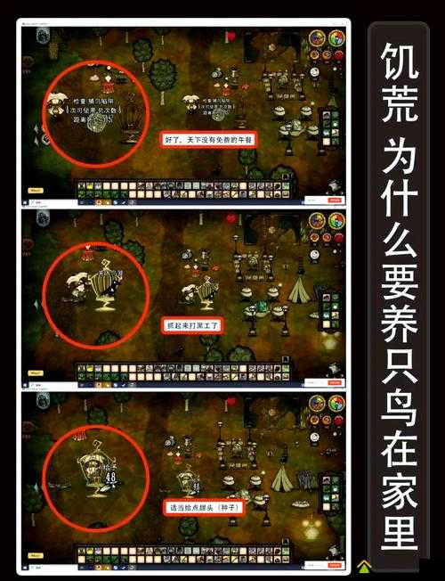 饥荒世界中探索彩虹水母的奇妙存在及其多样生存用途