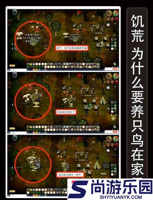饥荒世界中探索彩虹水母的奇妙存在及其多样生存用途