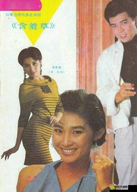 含羞草免费观看电视剧：一段充满惊喜与感动的影视之旅
