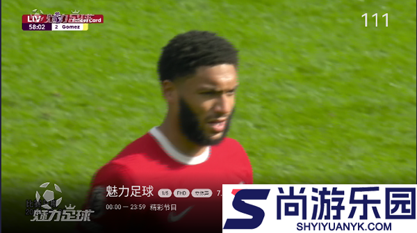 小飞电视纯净版下载