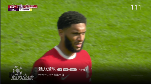 小飞电视纯净版下载