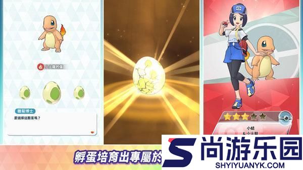宝可梦大师ex安卓版游戏下载