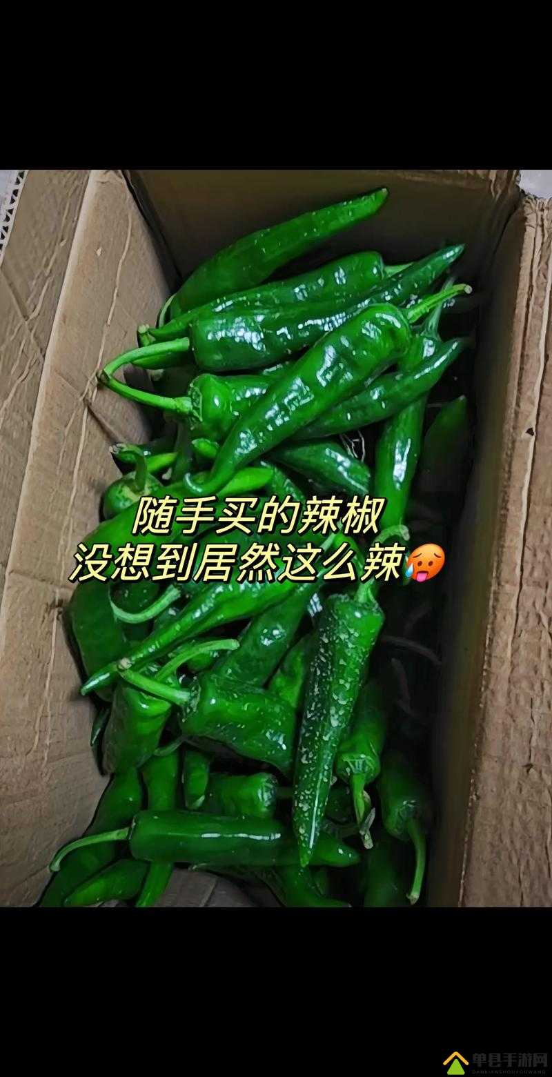 超碰自拍辣椒：记录真实的辣味生活
