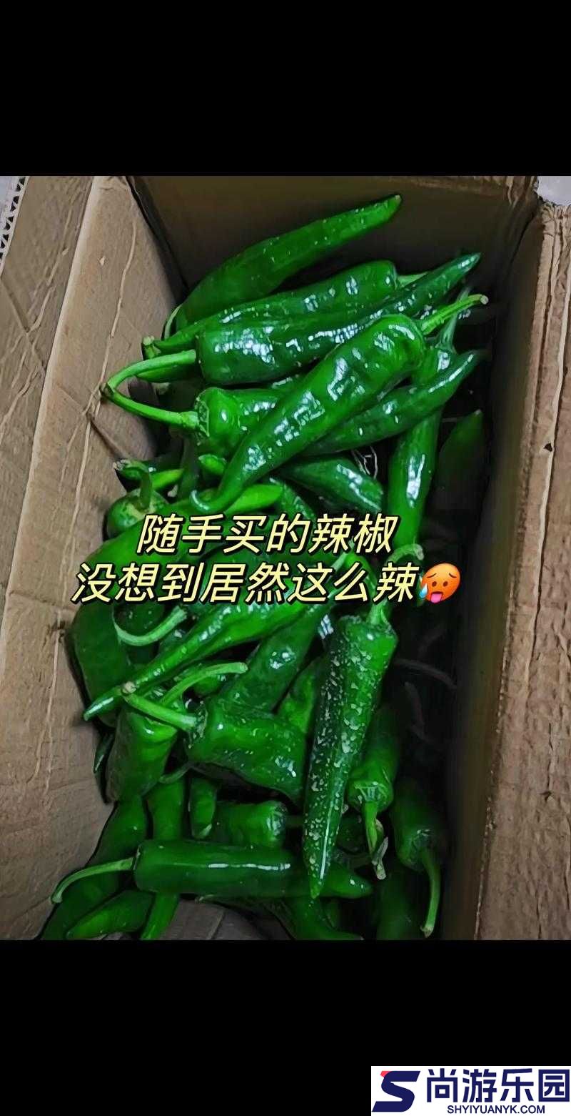 超碰自拍辣椒