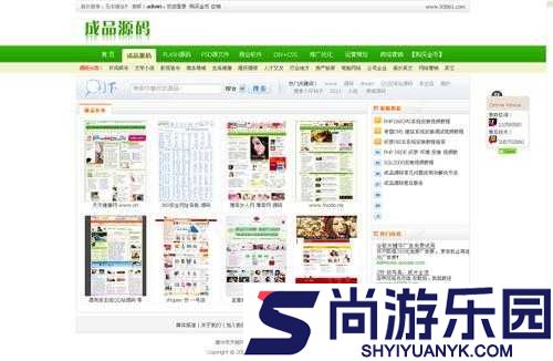 成品网源码