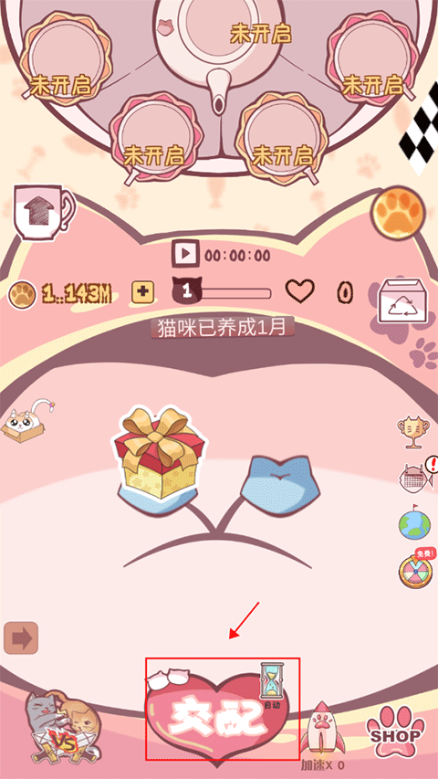 云撸猫咪游戏下载