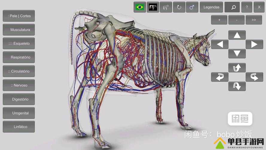 美国ZOOM 动物 3D：关于其的详细介绍与深度解析