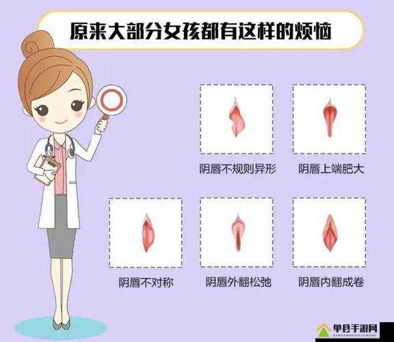 二十四种阴性外貌形状的独特魅力与展现