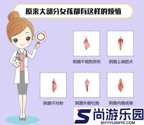 二十四种阴性外貌形状的独特魅力与展现