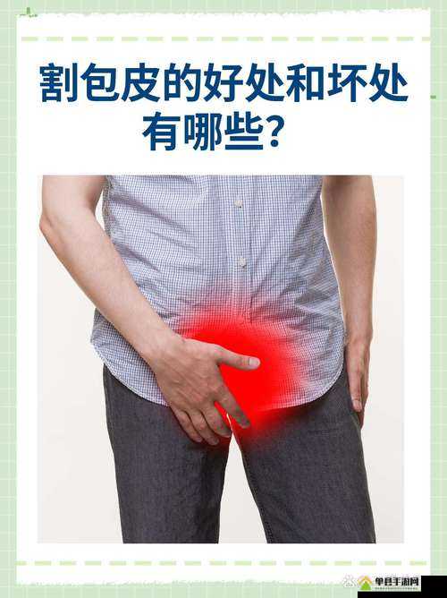 深度开发梁医生不可以：关于其的深入探讨与分析