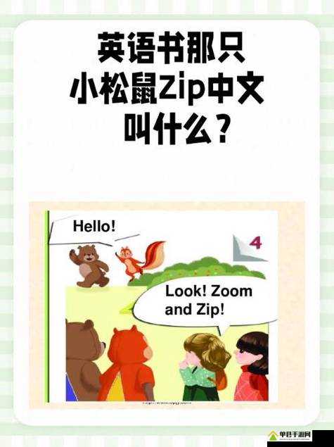 美国 Zoom 与动物 Zoom：一场跨越时空的奇妙互动