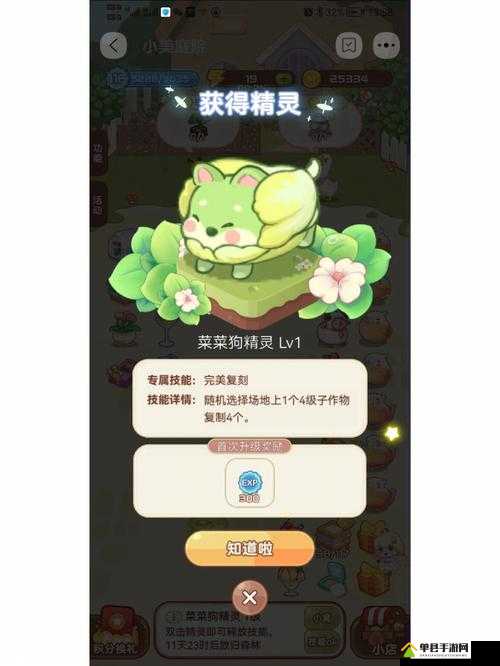 永恒之柱2游戏中宠物获得途径全解析及获取方法详解
