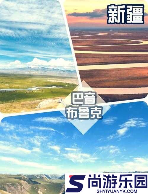 黑瓜吃料传送门