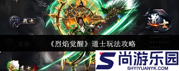烈焰觉醒道士怎么玩