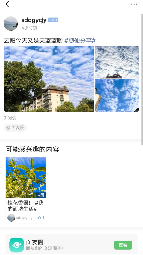 重庆鲜面条app最新版下载
