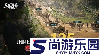 三国谋定天下阵容推荐