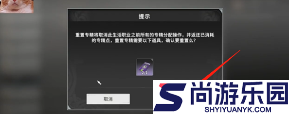 星痕共鸣角色技能能重置吗