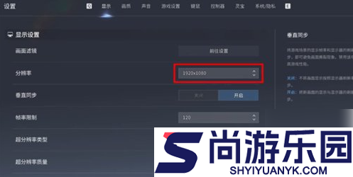 王者荣耀世界光追在哪开