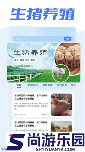 全民养猪场官方正版下载