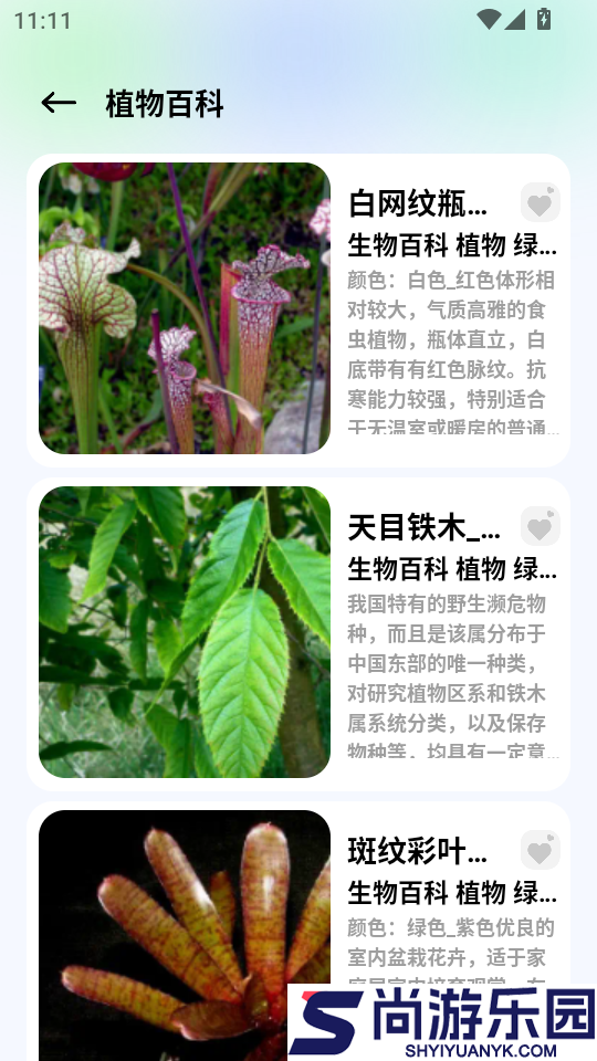 蝙蝠chat安卓版下载