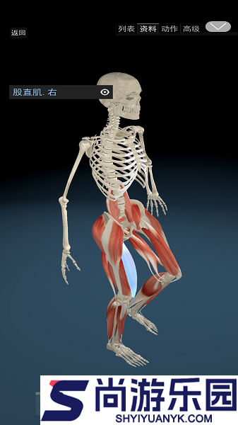 3D动态解剖软件下载安装