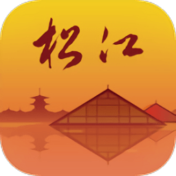 上海松江软件