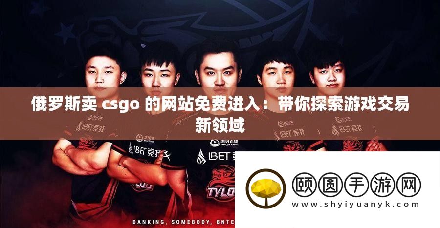 俄罗斯卖 csgo 的网站免费进入