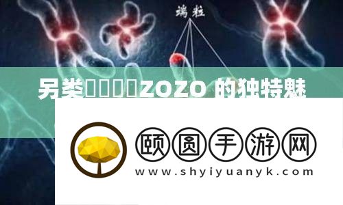 另类乄乄乄乄ZOZO 的独特魅力与神秘探索