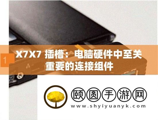 X7X7 插槽
