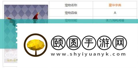 天天风之旅