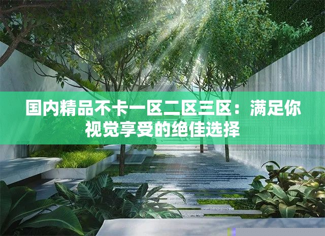 国内精品不卡一区二区三区