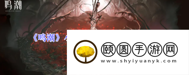 《鸣潮》小翼龙冷凝声骸技能介绍