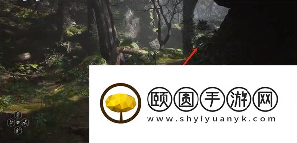 黑神话悟空广智在哪