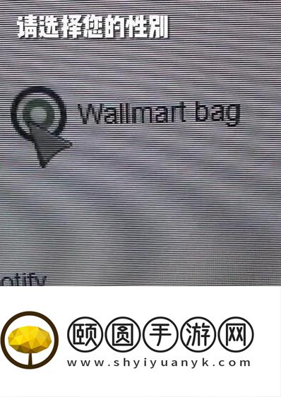 网络用语沃尔玛购物袋梗的意思介绍
