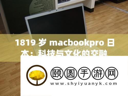 1819 岁 macbookpro 日本