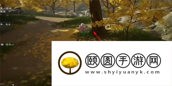 《射雕手游》绣球八仙收集攻略