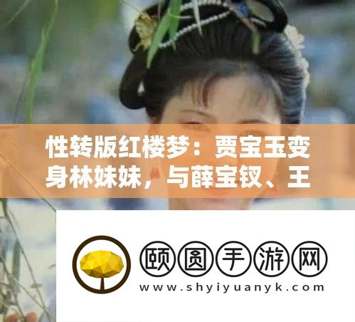 性转版红楼梦