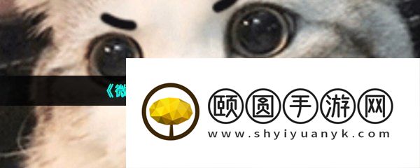 《微博》截图癖梗的意思介绍