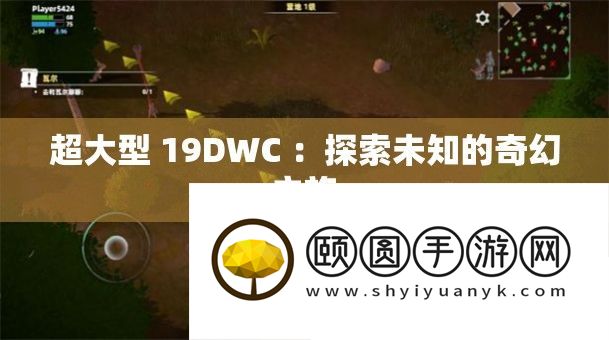 超大型 19DWC 