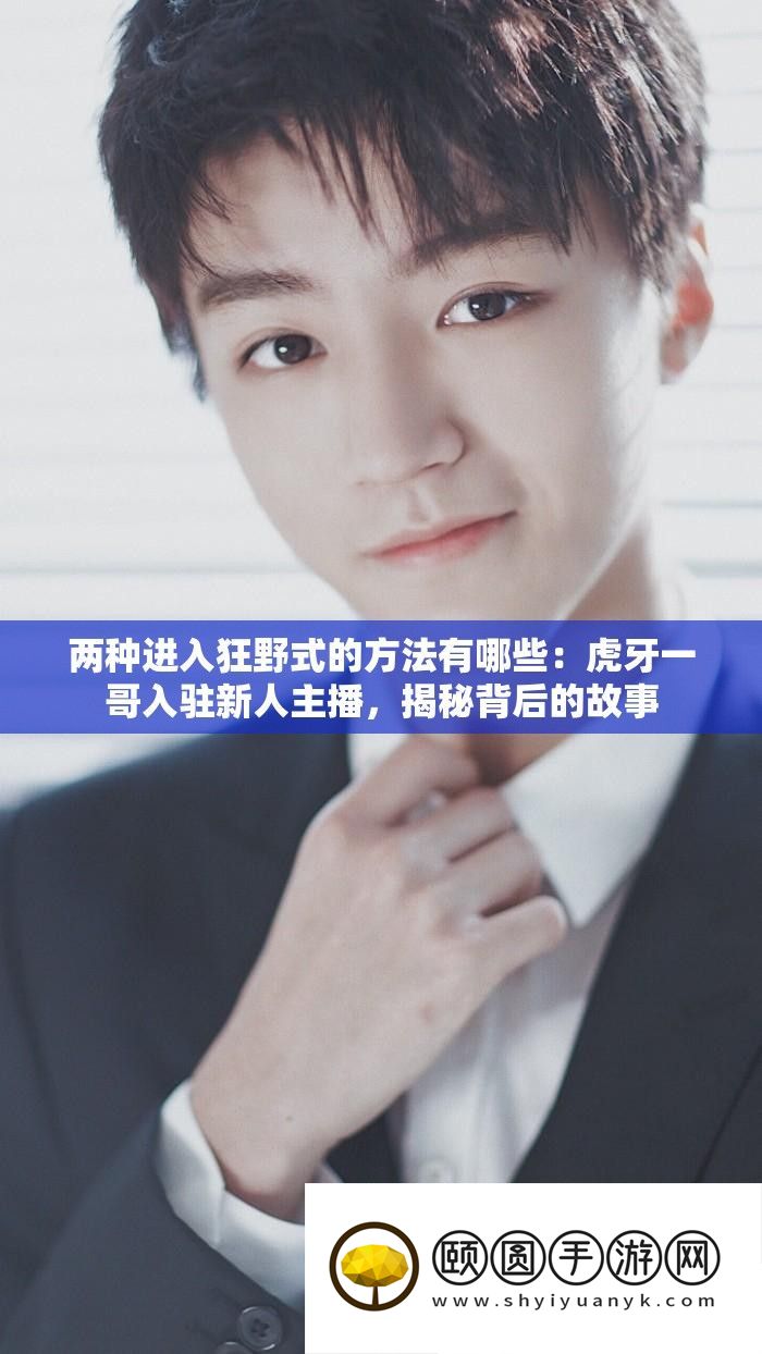 两种进入狂野式的攻略有哪些