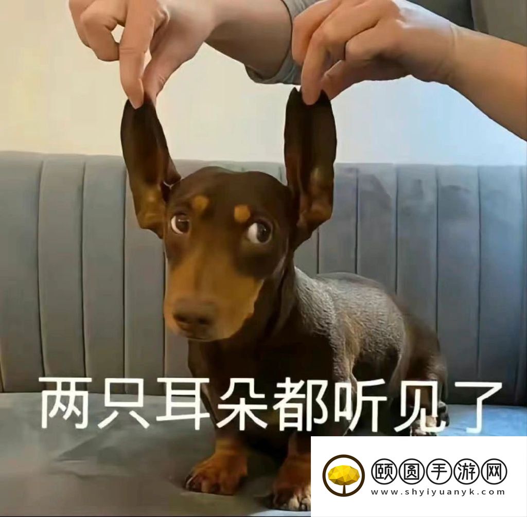 《抖音》你凭啥看不上我梗的意思介绍