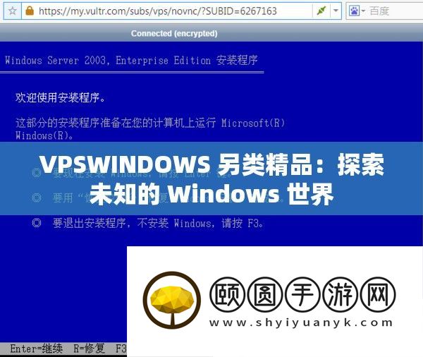 VPSWINDOWS 另类精品
